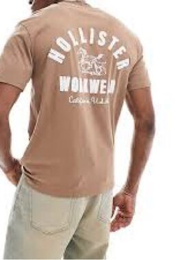 Hollister Men’s Back-Logo Short Sleeve Tee in Tan